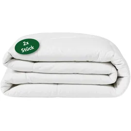 Dreamstar Eco 2er Set Bettdecken für alle Jahreszeiten | medium Steppdecken | waschbar 60 Grad | Allergiker geeignet | 100% Mikrofaser | Öko-TEX® | Ganzjahresbettdecke | 155 x 220 cm