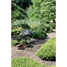 Garden Pleasure Rosenbogen 115 x 215 cm schwarz-braun Metall 1 St.