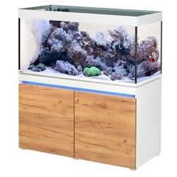 EHEIM incpiria reef LED 430