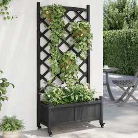 vidaXL Pflanzkübel mit Spalier 194 x 40 x 120 cm Schwarz