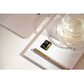 Lexar Professional SDXC Gold 128GB 1800x UHS-II V60 2er-Pack