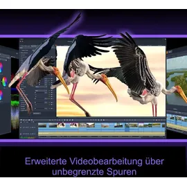 Corel Pinnacle Studio 26 ULTIMATE Dauerlizenz / Windows DE/ML PKC