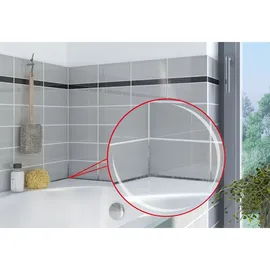 Mellerud Schimmel Vernichter 500 ml