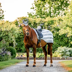 Horseware Newmarket Exercise Sheet, L