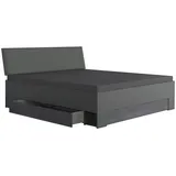 WIMEX Mid.you Stauraumbett Wimex Kopenhagen, Graphit, Dunkelgrau, Karton, Holzwerkstoff, Abstraktes, 180x200 cm