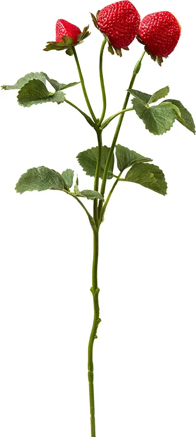 Erdbeer Zweig 46cm rot