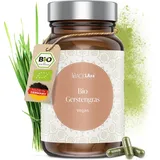 BACKLAxx® Bio Gerstengras Kapseln 300 St.