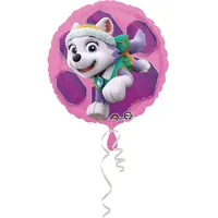 amscan® Paw Patrol Skye & Everest Standard Circle