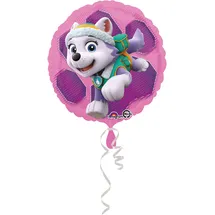 amscan® Paw Patrol Skye & Everest Standard Circle