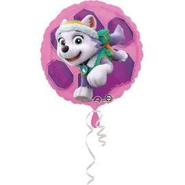 amscan® Paw Patrol Skye & Everest Standard Circle