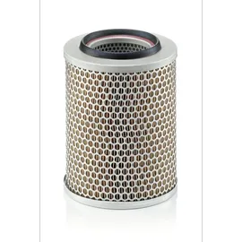 Mann-Filter C 17 160
