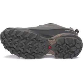 Salomon X Ultra 360 GTX Damen Sedona Sage/Urban Chic/Etherea 40