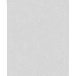 Erfurt Vliestapete Basic 408 53 x 1005 cm 10,05 m2 Weiß