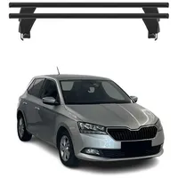 Omac Dachträger für Skoda Fabia