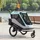 aiyaplay 2 in 1 Fahrradanhänger & Buggy Faltbar Hellblau