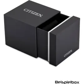 Citizen Analog Solar Edelstahl 44 mm CB5914-89L