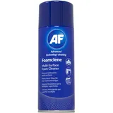 HK Wentworth AF International Foamclene Reinigungsschaum 300 ml