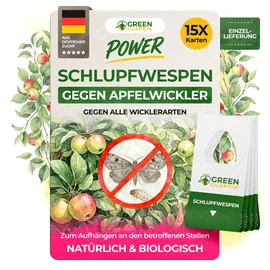 green guardia – natürliche lösungen gegen apfelwicklerbefall Green Guardia Schlupfwespen gegen Apfelwickler – 15 Karten 1x Lieferung