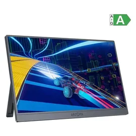 Arzopa Z1FC 16,1" Silver Gray