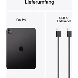Apple iPad Pro 11" (5. Generation 2024) 256 GB Wi-Fi Space Schwarz