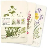 Flame Tree Gift Dreier Set Mini-Notizbücher: Royal Botanic Garden Edinburgh: Unser beliebten Mini-Notizbücher im 3er-Pack mit flexiblen, künstlerisch gestalteten ... des Künstlers (Mini-Notizbücher (3er-Pack))