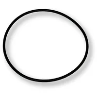 Behncke O-ring für Europa Filter Ø 450