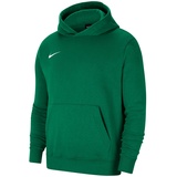 Park 20 Fleece Hoodie Kinder pine green/white S 128-137 cm