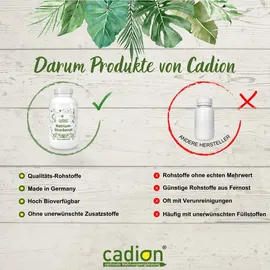 Cadion Natrium Kapseln 250 Stück