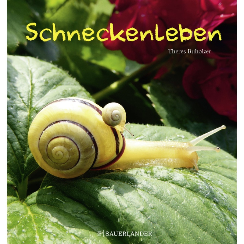 Schneckenleben - Theres Buholzer, Gebunden