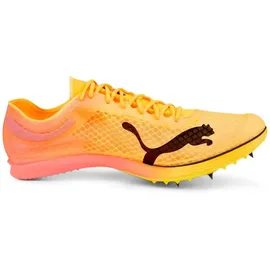Puma Evospeed Distance Nitro Elite+ 2 Herren Bunt 44