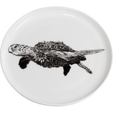 Maxwell & Williams Marini Ferlazzo Green Sea Turtle Teller 20 cm