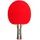 Sport-Thieme Advanced