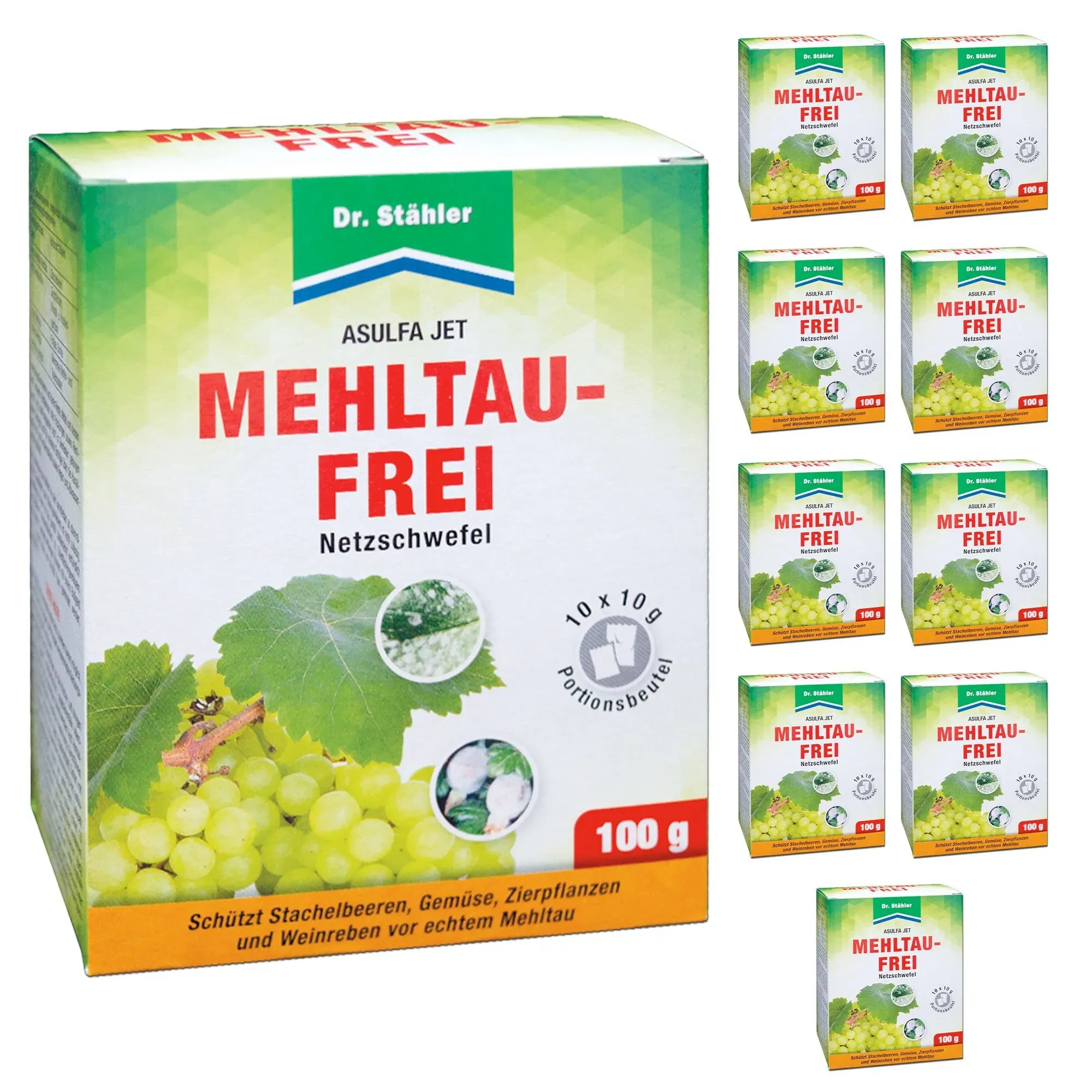 Silberkraft Asulfa Jet Mehltau-Frei 100x10 g