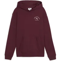 Puma Hoodie Ruby Shimmer 164