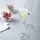 LEONARDO Daily Sektglas 0,2 l 6-tlg.