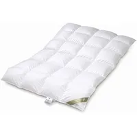 Betten Hofmann 4-Jahreszeitenbett Betten Hofmann Franken Daunendecke 4x6 135x200cm 860g fränk. Daunen, Füllung: 100% Gänsedaunen, Bezug: 100% Baumwolle, warmes Ganzjahresbett, hergestellt in Deutschland weiß