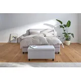 s.Oliver Truhenbank Beige