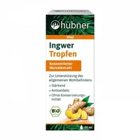 Hübner Ingwer Tropfen bio 20 ml