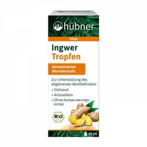 Hübner Ingwer Tropfen bio 20 ml