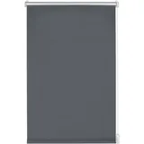 GARDINIA Seitenzugrollo 100 x 150 cm grau