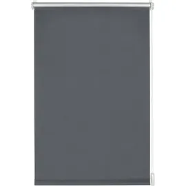 GARDINIA Seitenzugrollo 100 x 150 cm grau