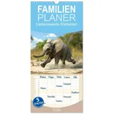 Calvendo Familienplaner 2026 Liebenswerte Elefanten
