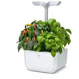 Veritable Anzuchtkasten Exky Smart White, 20x18,2x45,6cm, Anzuchtschale, mit Pflanzenlampe, 2 Zellen