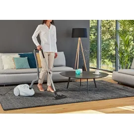 Rowenta Compact Power RO 3927 EA