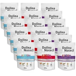 Dolina Noteci PREMIUM Junior MIX 18x300g