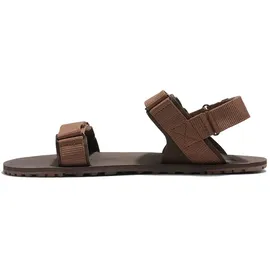 Xero Shoes D-trail Herren Cocoa Brown/Java Brown 41