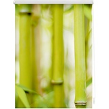 Lichtblick Rollo Klemmfix, ohne Bohren, blickdicht, Bambus grün 60 x 150 cm