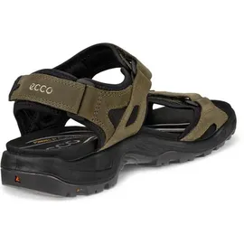 ECCO Offroad Herren Khaki/Schwarz 47