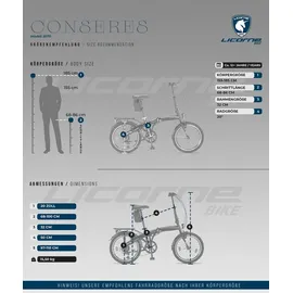 licorne bike gmbh Licorne Bike Conseres Premium Falt Bike in 20 Zoll - Fahrrad für Herren, Jungen, Mädchen und Damen - Shimano 6 Gang-Schaltung - Hollandfahrrad