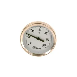 Buderus Thermometer d. 63x65mm, GK1,6, 0-120 Grad C 8735300012